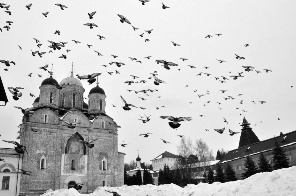 Photograph by Екатерина Молчанова