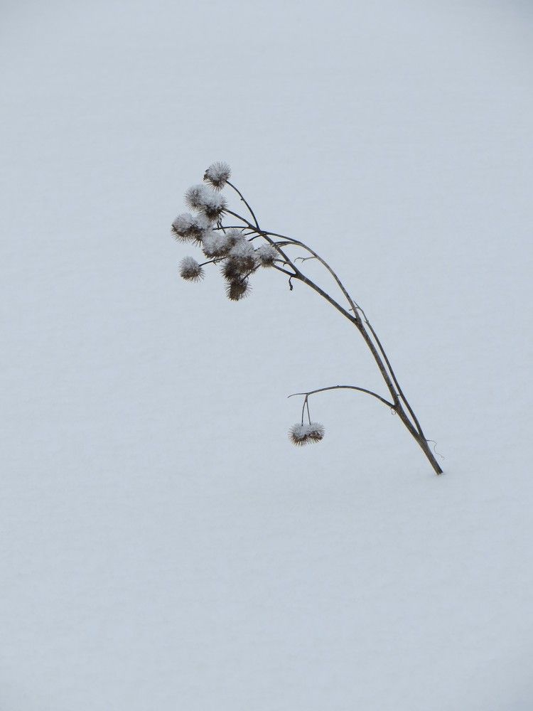 Photograph by Татьяна Поминова