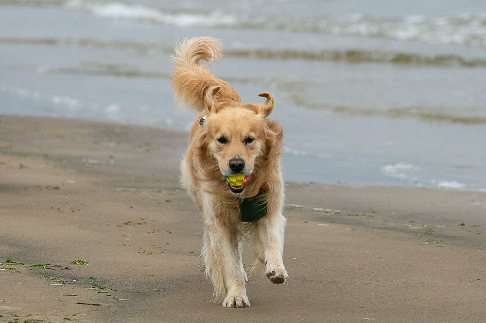 Photograph by Наталья Катюжанская