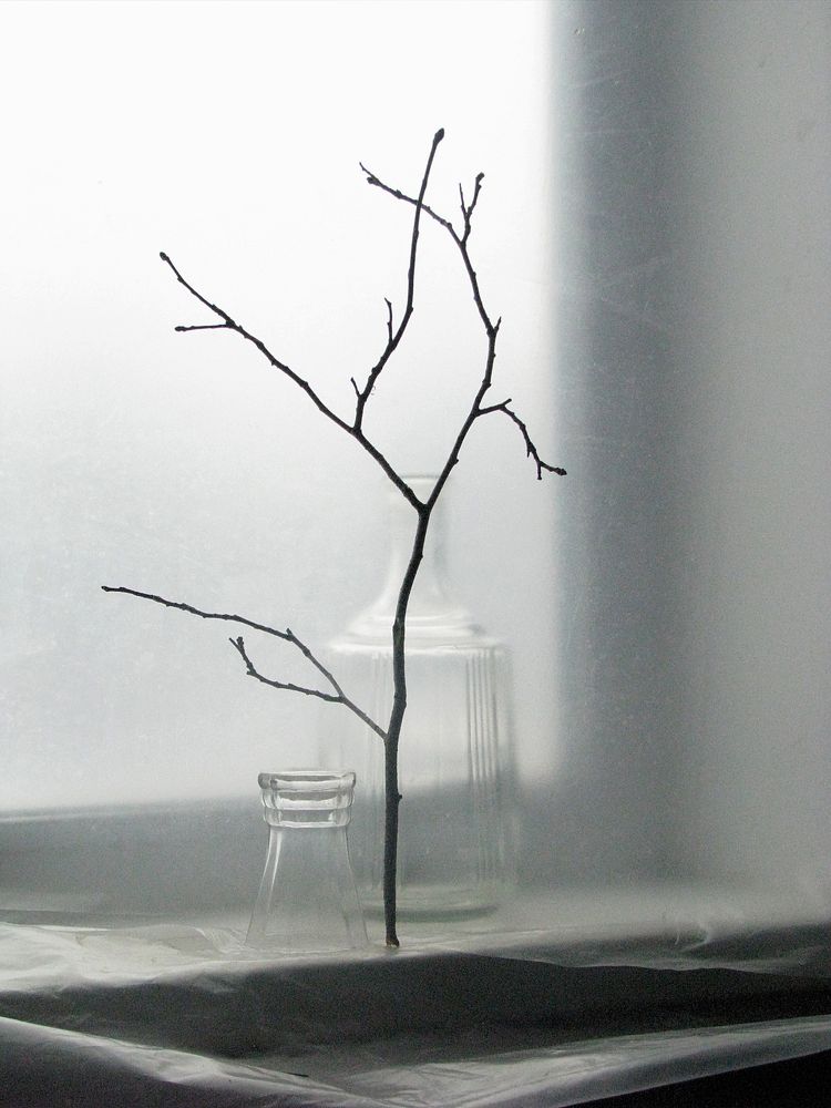 Photograph by Лада Кляузина