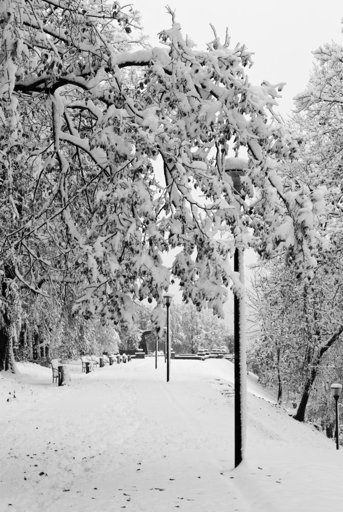 Photograph by Kuzmichev Alexey