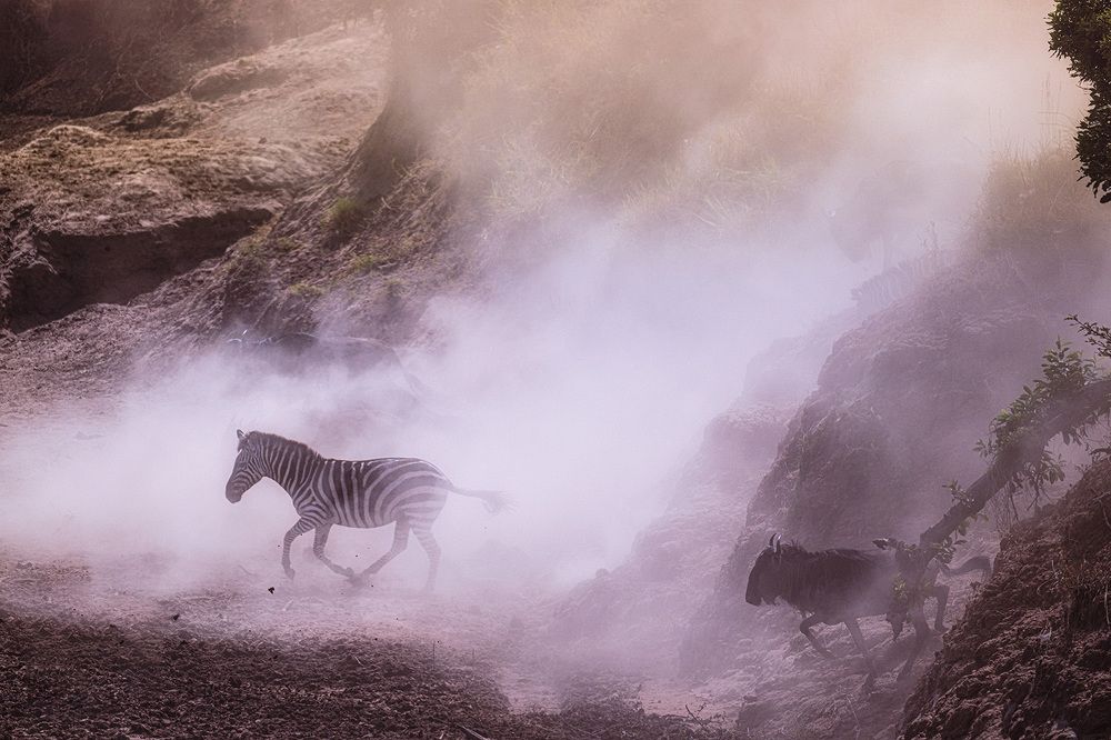 Фотография автора Bhupender Gupta