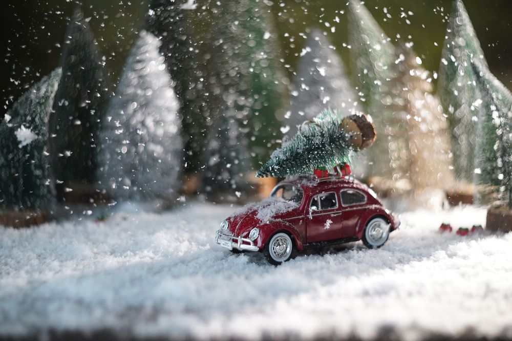 Photograph by Бакбак Тата