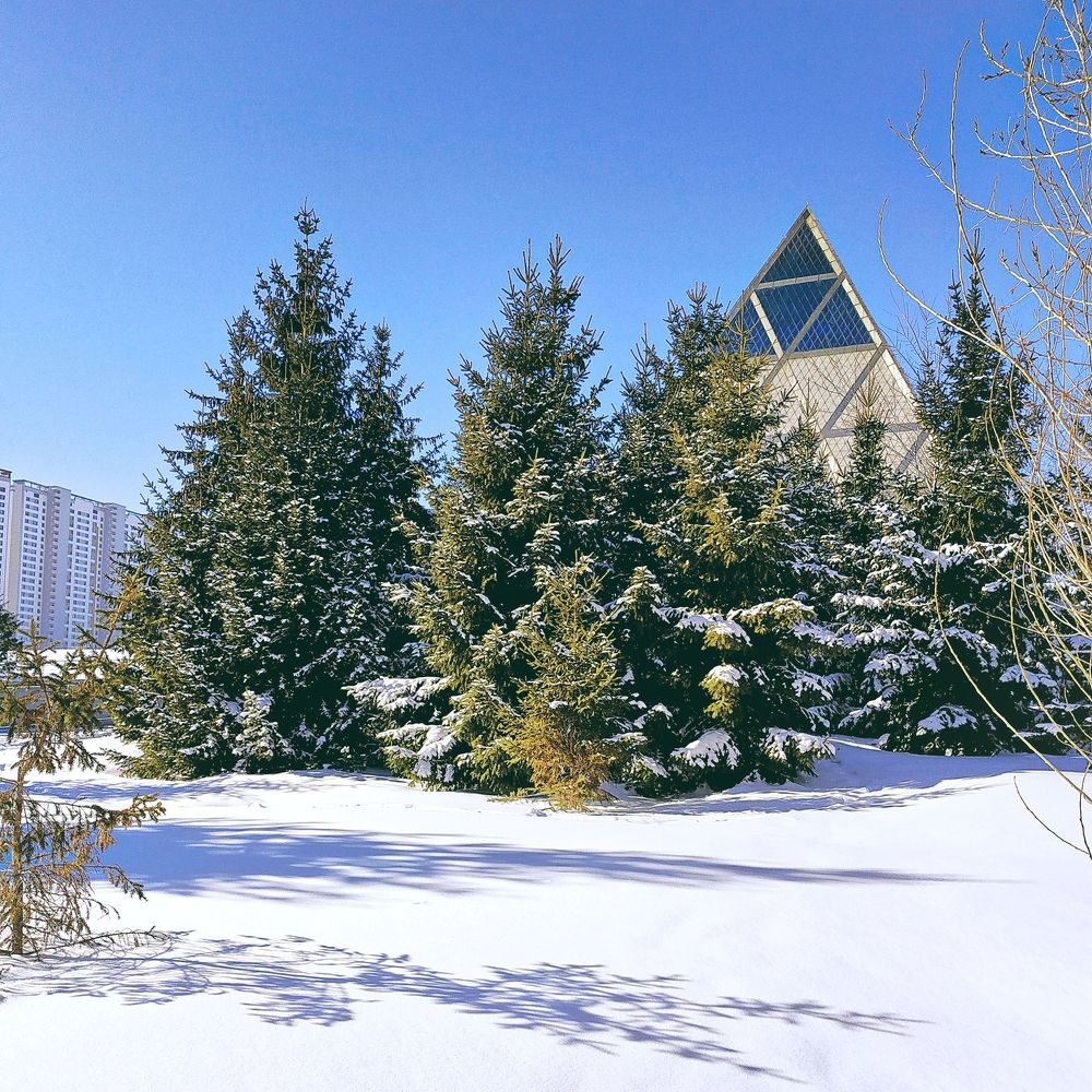 Photograph by Ната Богатова