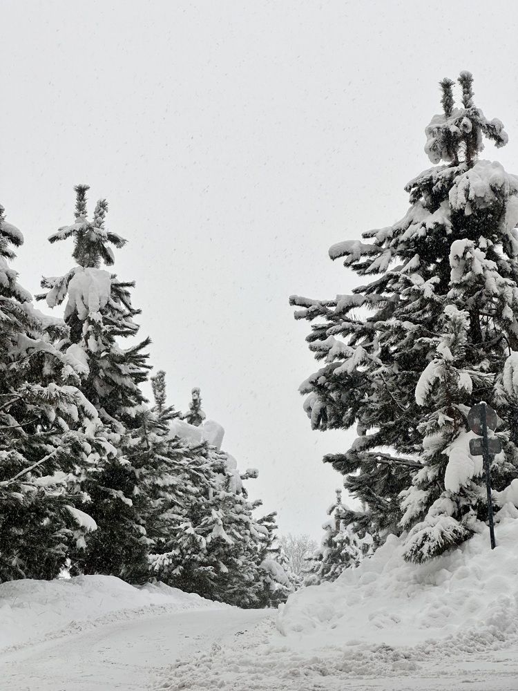 Photograph by Лилия Эссерт