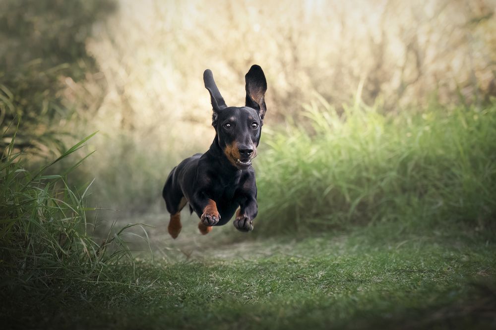 Фотография автора Ana Sánchez