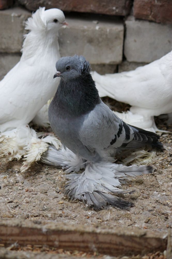 Photograph by Титова Наталья