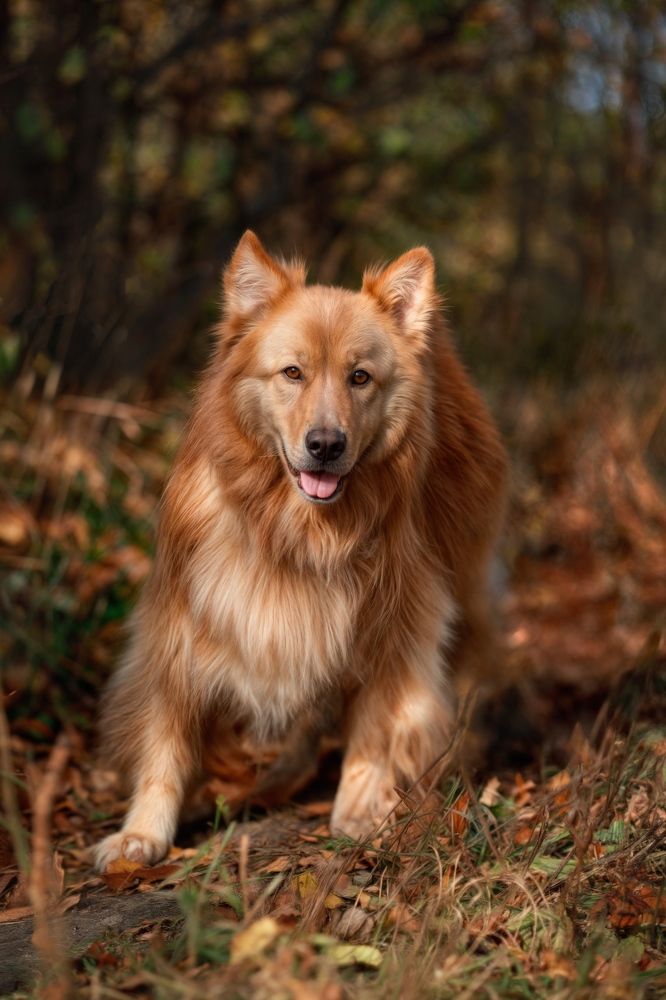 Photograph by Елена Мизюрина