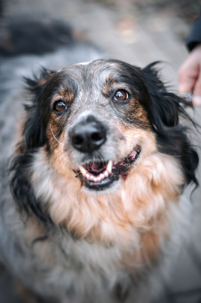 Photograph by Андрей Беляков