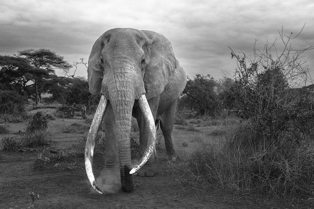 Фотография автора Bhupender Gupta