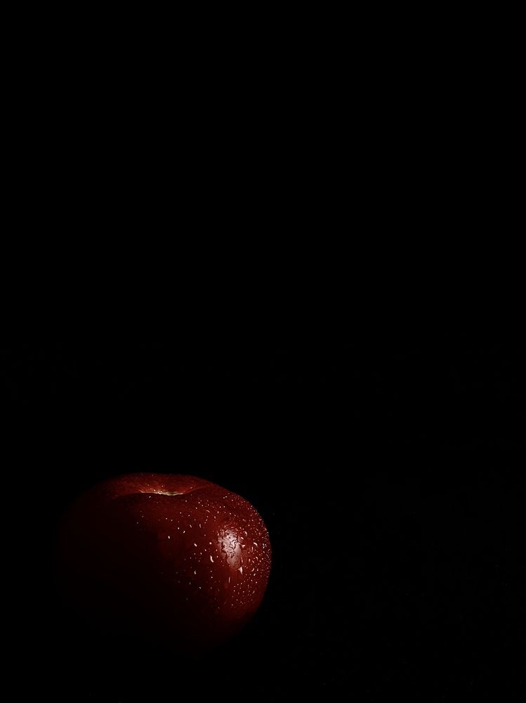 Фотография автора Елена