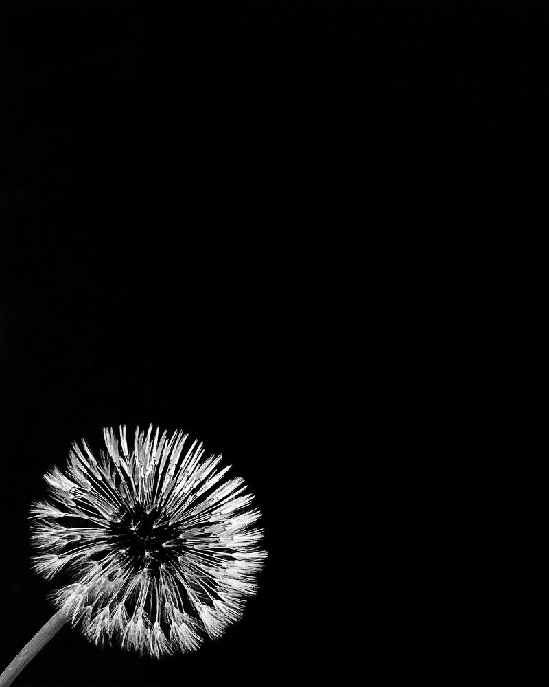 Фотография автора Елена