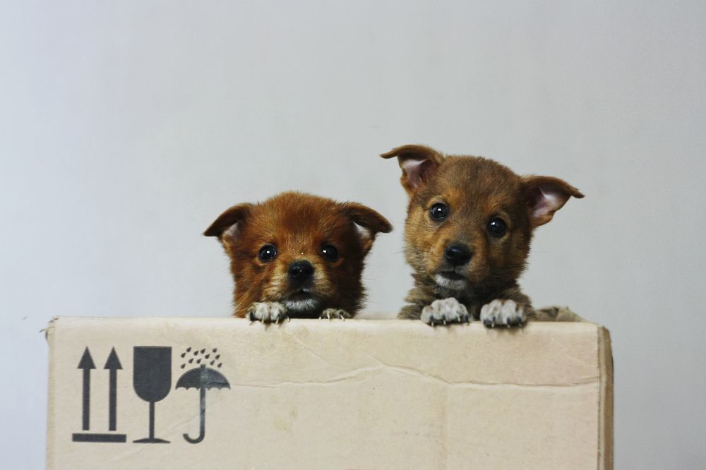 Photograph by Аркадова Елена