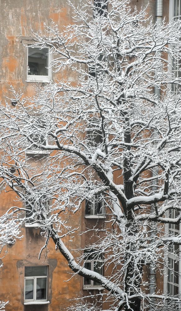 Фотография автора Павел Ступак