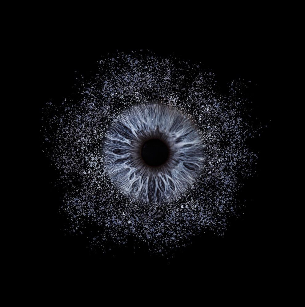 Фотография автора diana van hoof