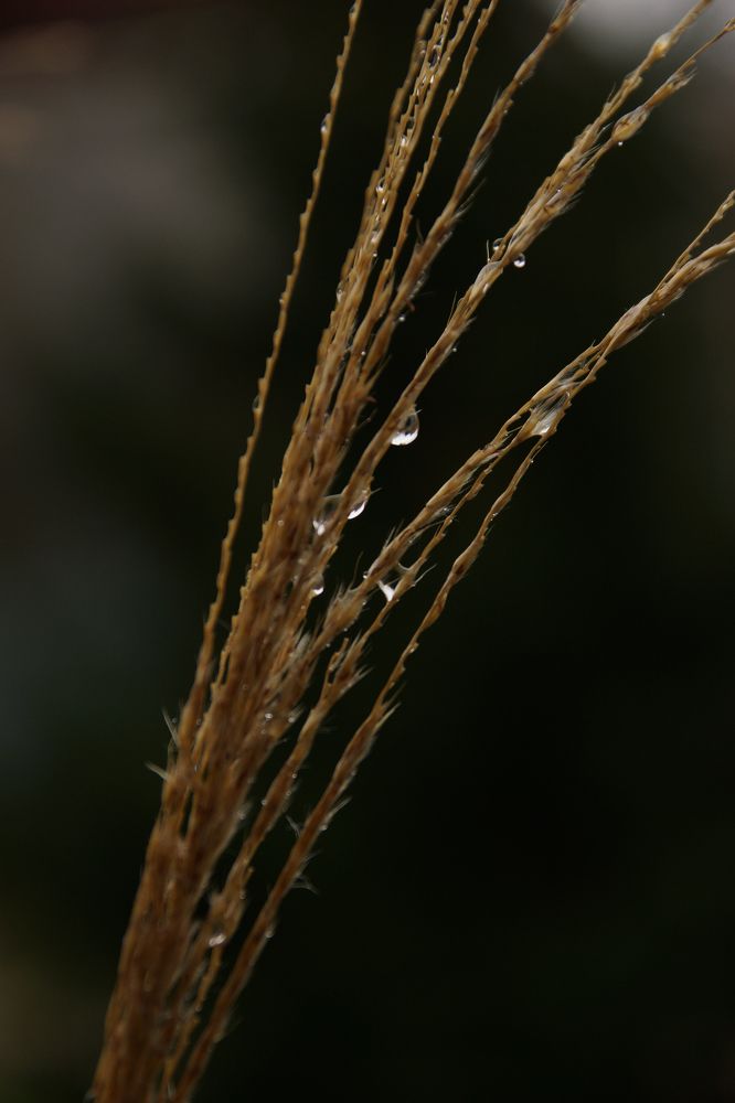 Фотография автора Татьяна Брык