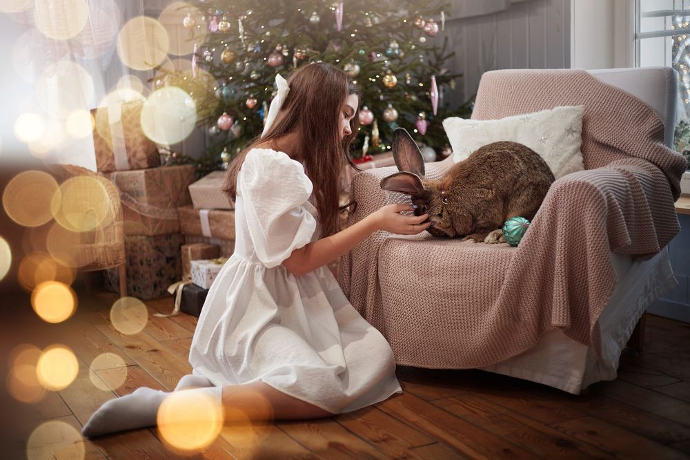 Фотография автора Елена Бойцова