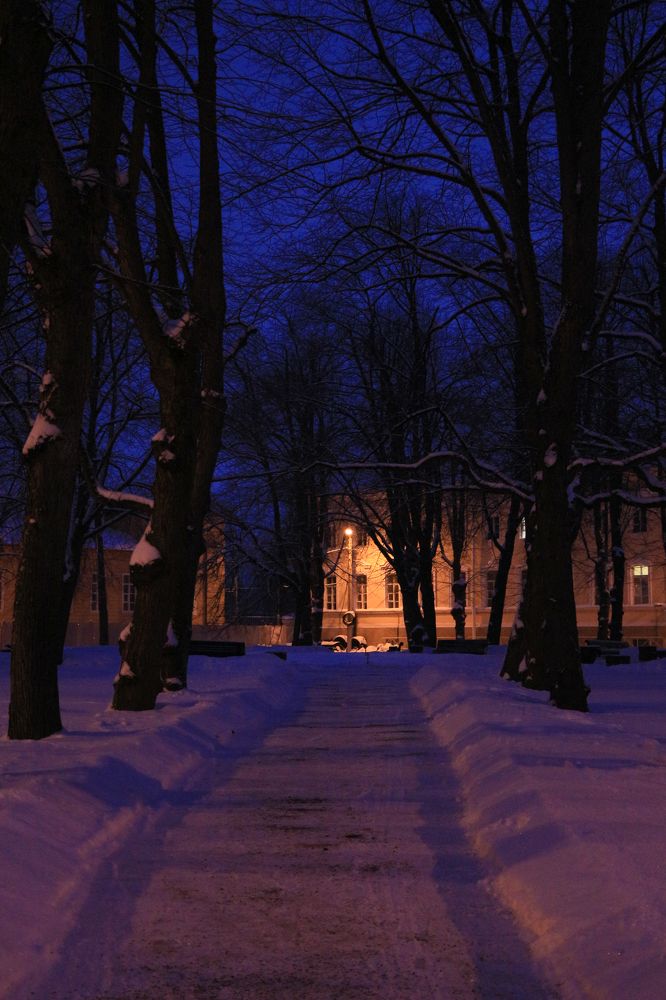 Иди на свет