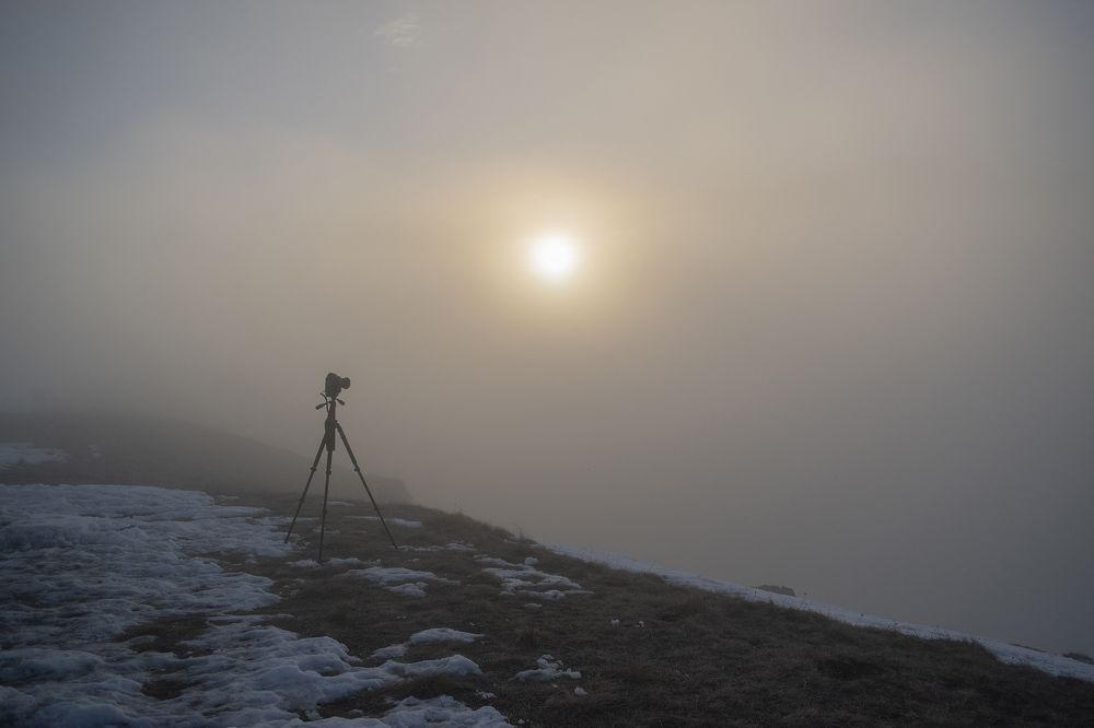 Фотография автора Шипунова Ирина