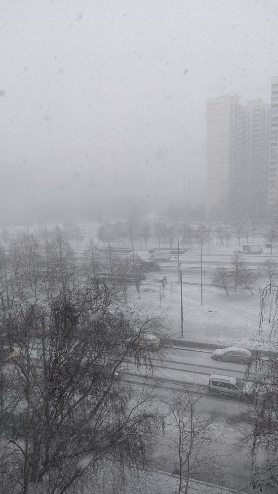 Фотография автора Васильева Ирина