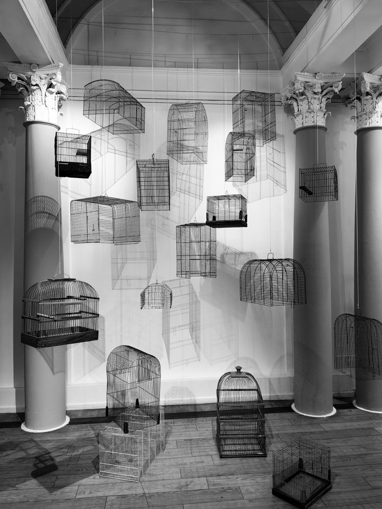 Photograph by Анастасия Доронкина