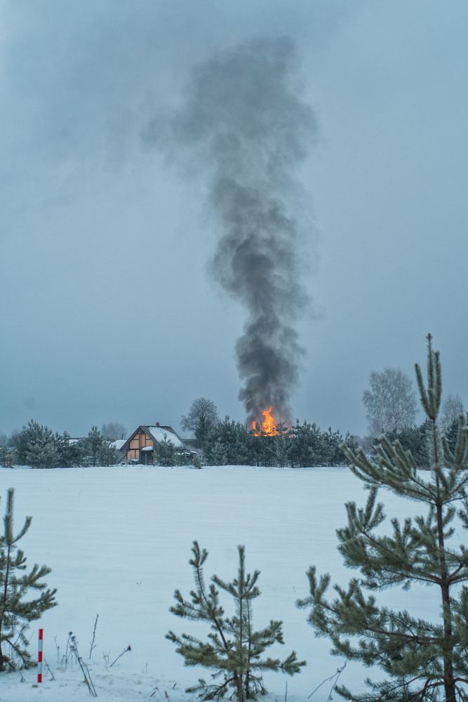 Photograph by Ольга Лобачёва