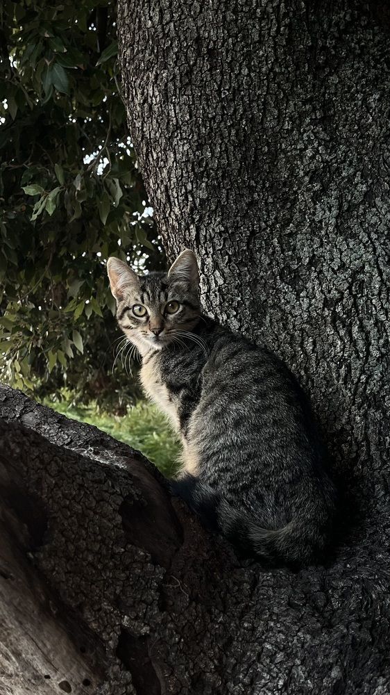 Photograph by Анна Чеснокова