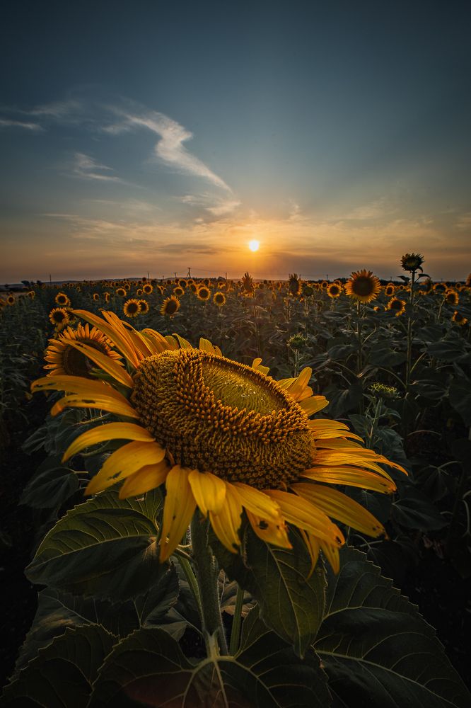 Photograph by Филипп Бабенко