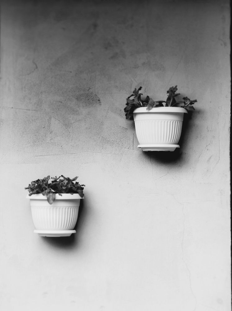 Photograph by Анастасия Доронкина