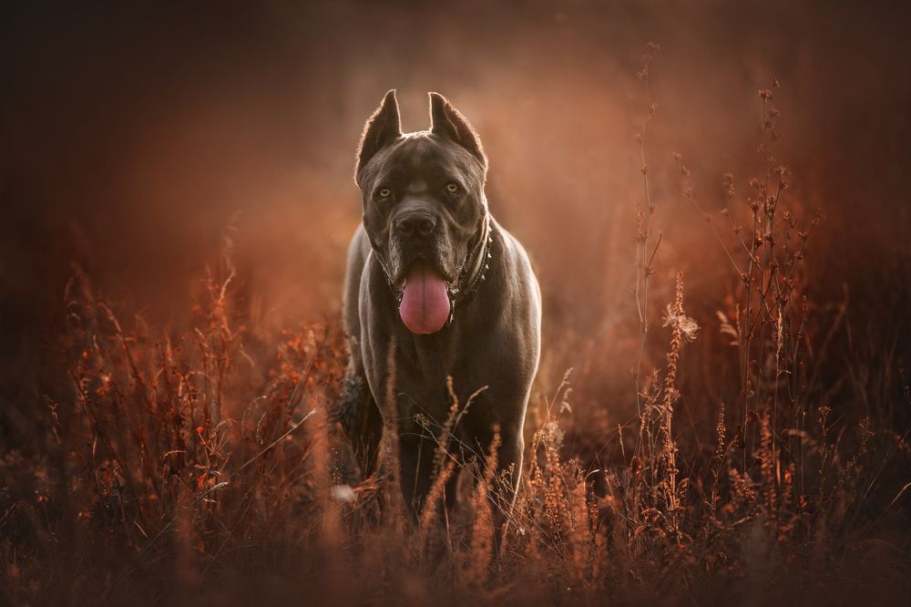 Photograph by Юлианна Митрофанова