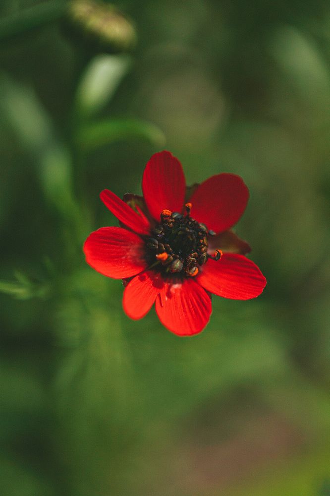 Photograph by Ксения Леонова