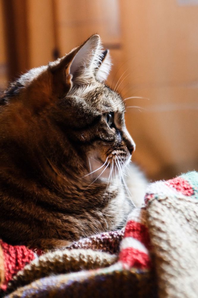 Photograph by Катя Цвет