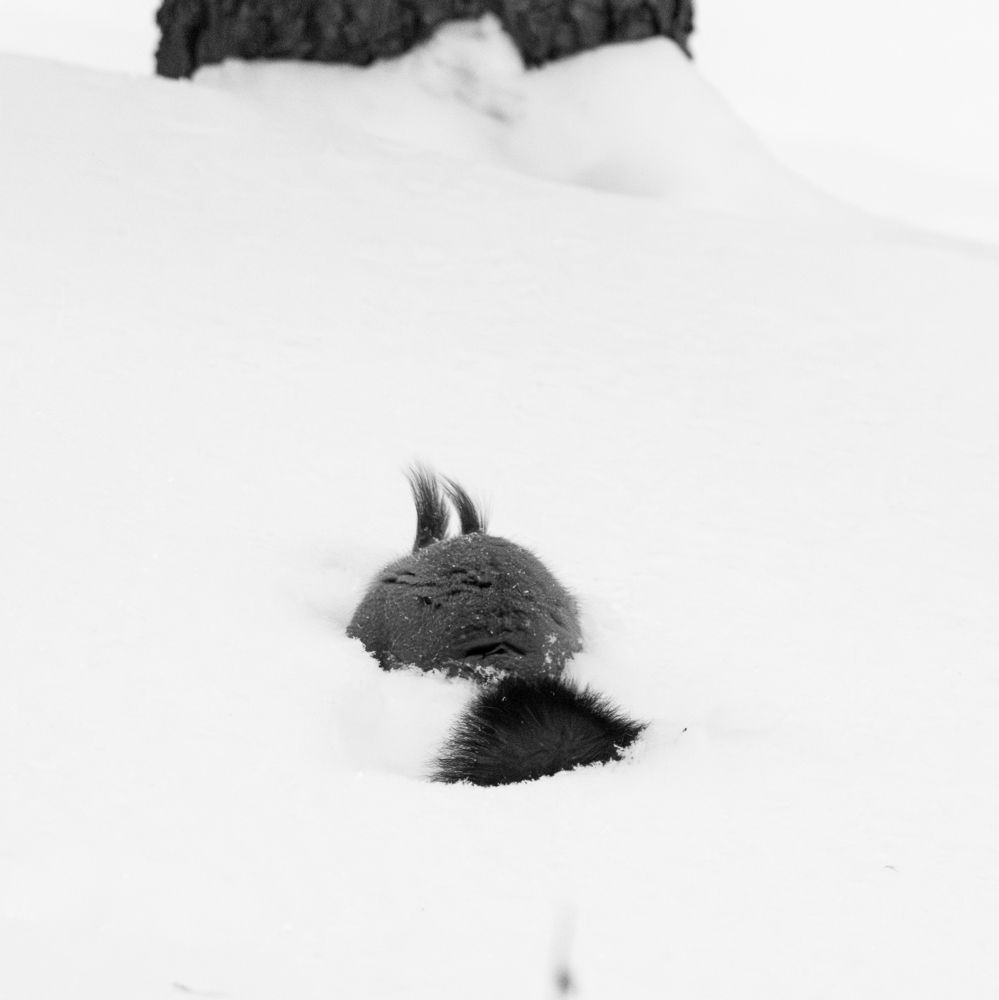 Photograph by Alexandr