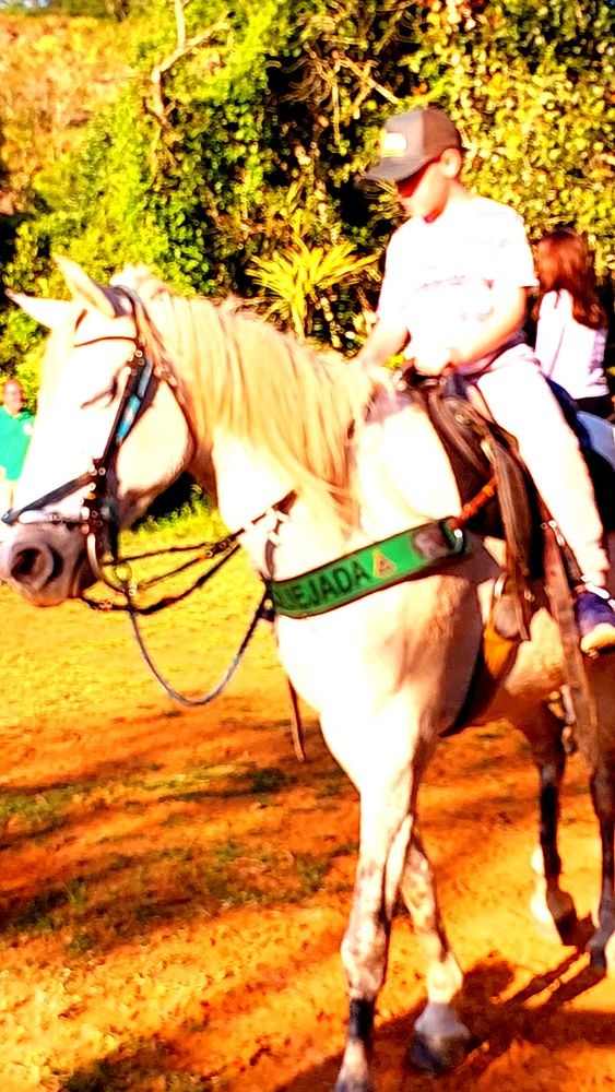 Photograph by CRINALDO REIS