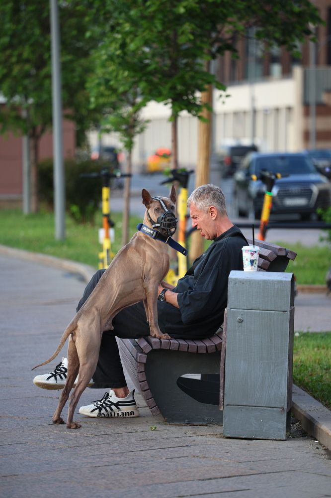 Фотография автора Иван Безрядин