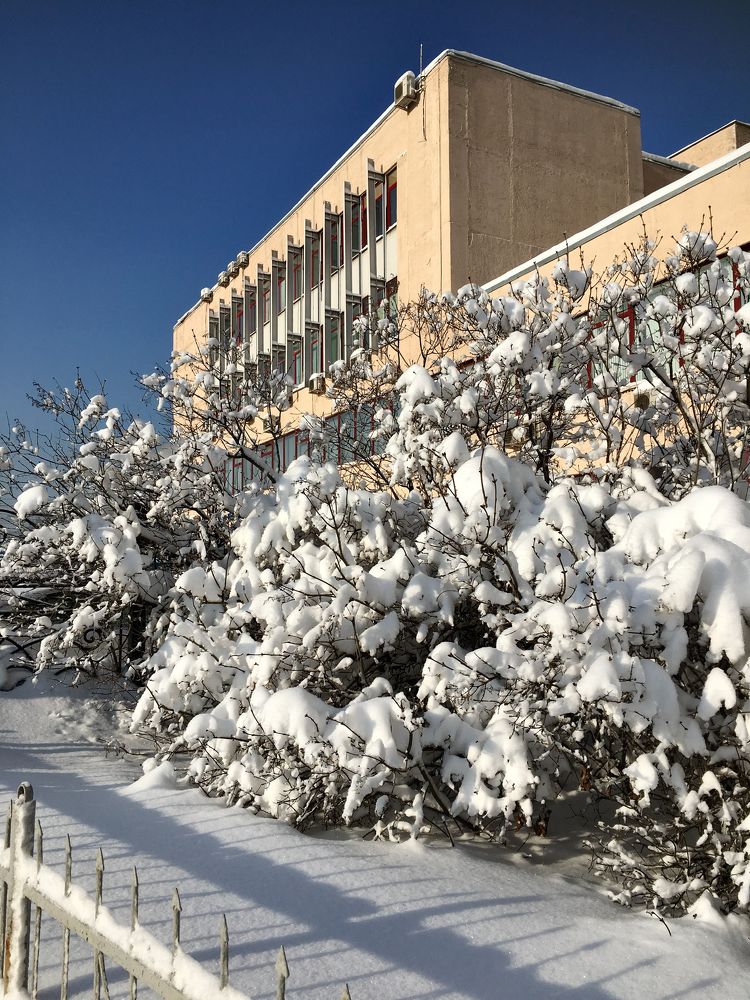 Photograph by Elena Makukha