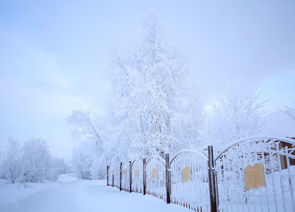 Зимний сюрреализм