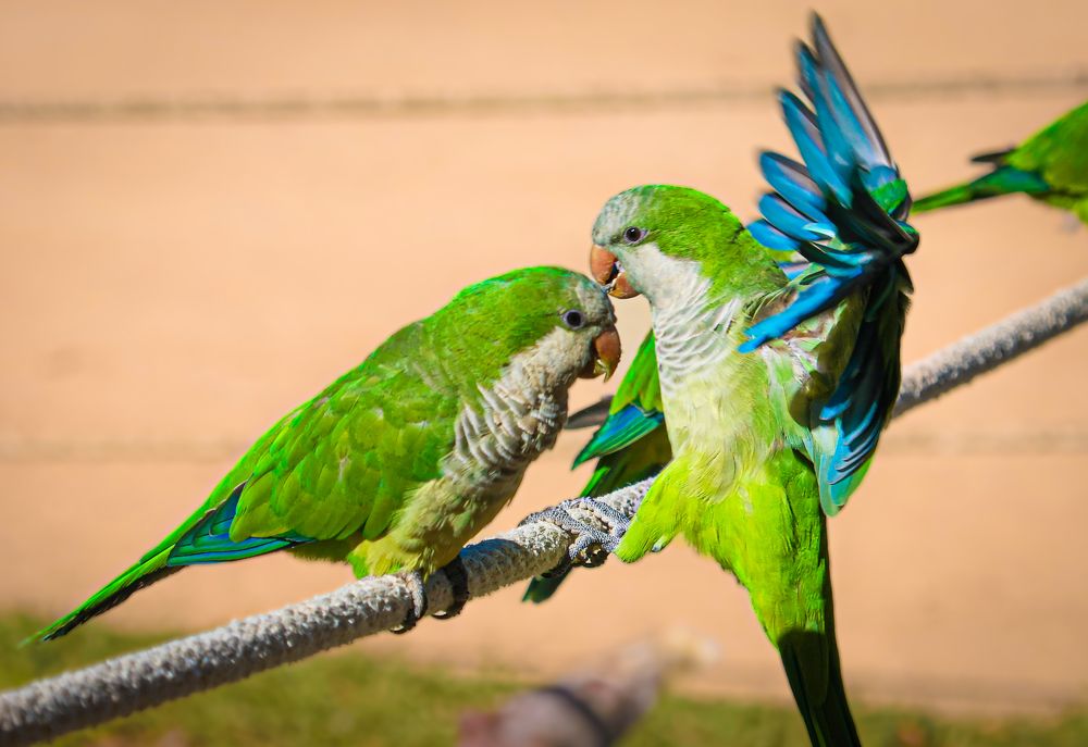 Photograph by Eva Wiedemann