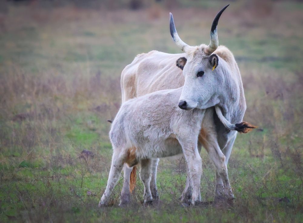 Photograph by Eva Wiedemann