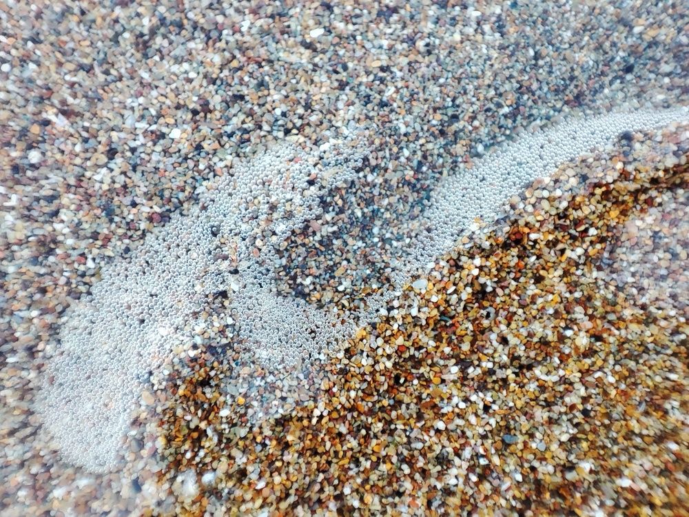 Photograph by Meilany Wijaya