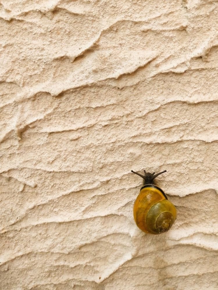 Photograph by Татьяна Небрат