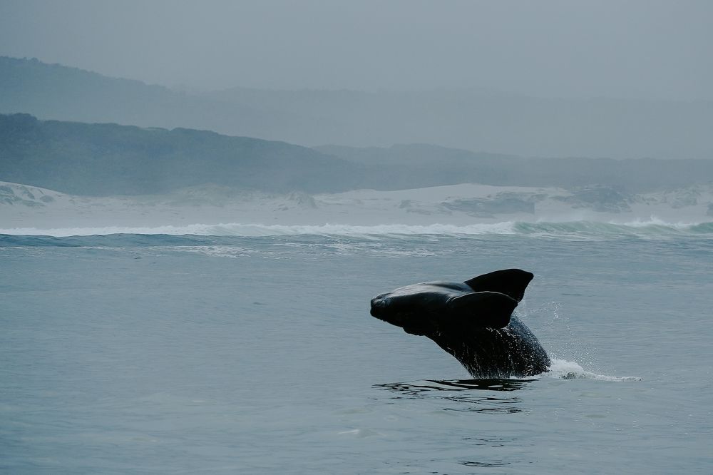 В нужном месте