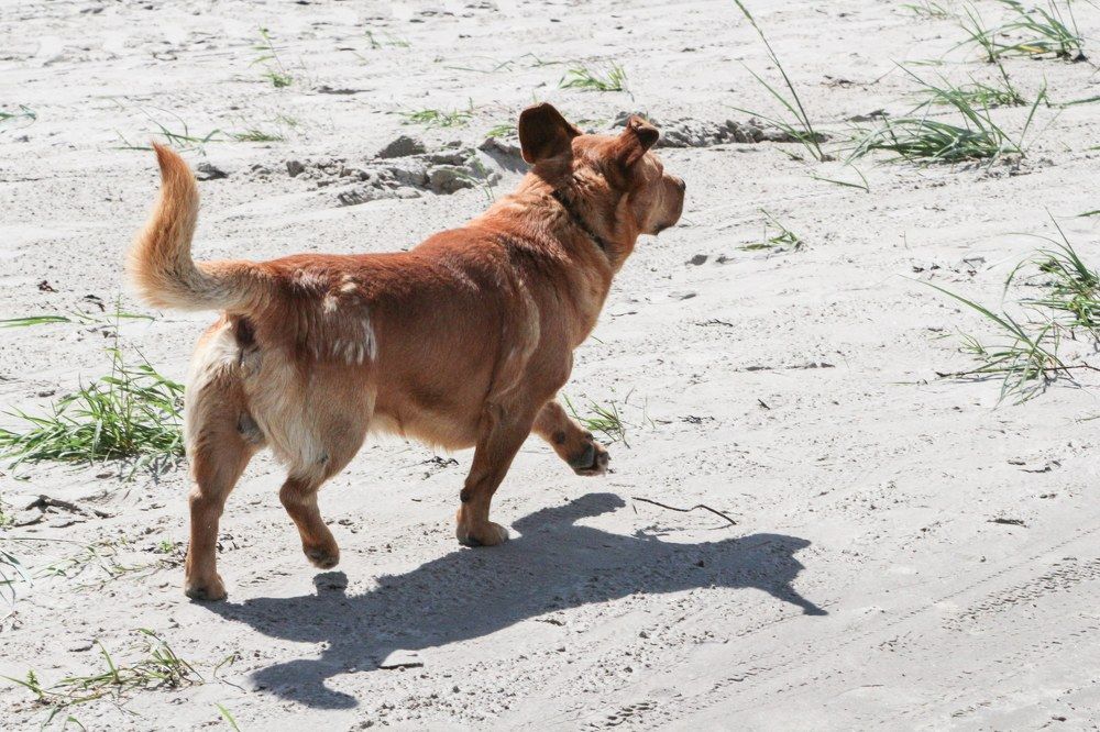 Photograph by Igors Rostikovs