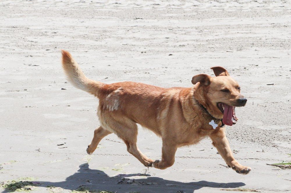 Photograph by Igors Rostikovs