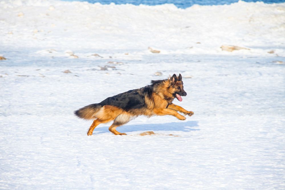 Photograph by Igors Rostikovs