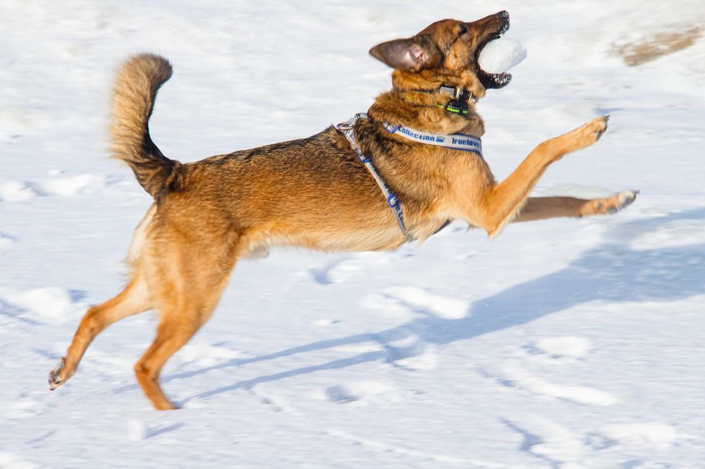 Photograph by Igors Rostikovs