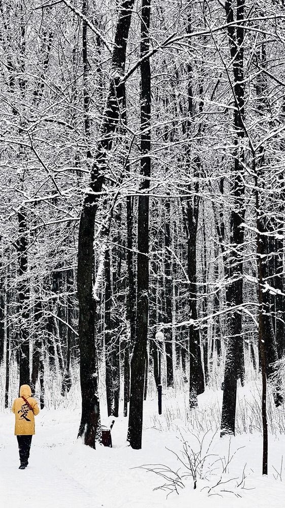 Photograph by Максим Азарчик