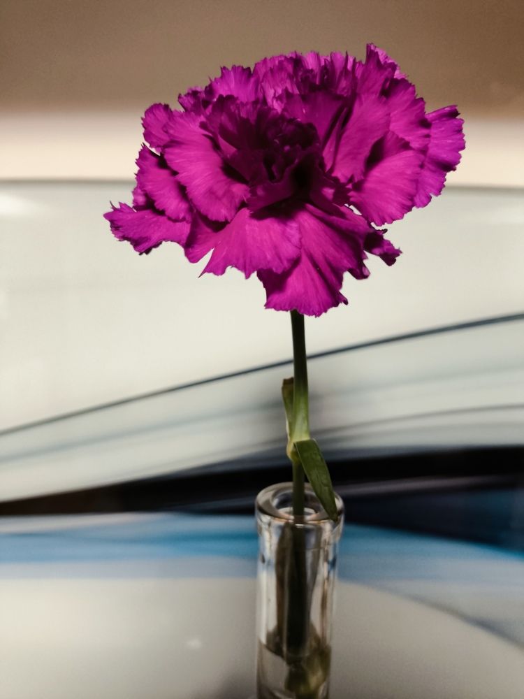 Photograph by Ennovi