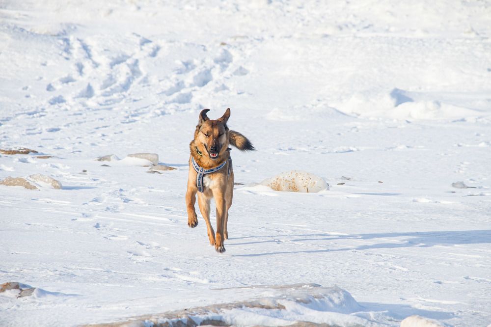 Photograph by Igors Rostikovs