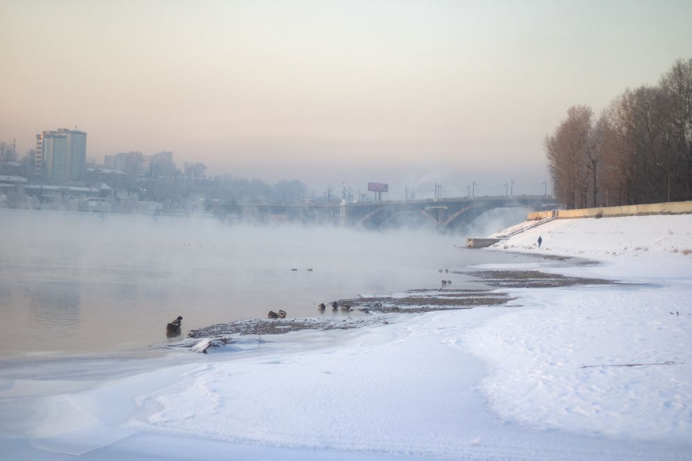 Фотография автора Егор Пешков